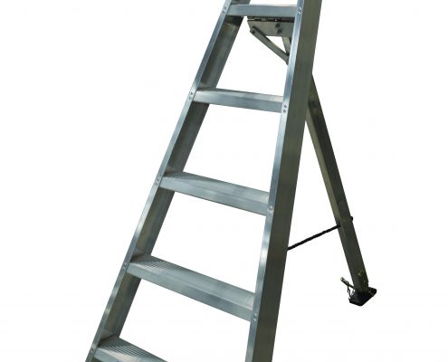FPT-2